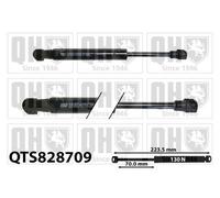 Quinton Hazell QTS828709 Gas Spring Strut