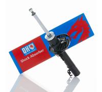 QUINTON HAZELL QAG178881 Shock absorber