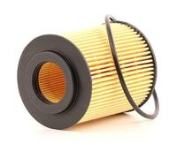 Quinton Hazell TJ Filters Car Vehicle Replacement Oil Filter w/one anti-return valve - QFL0060