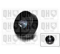 Aux Belt Idler Pulley QTA1314 Quinton Hazell Guide Deflection 1079393 1118677