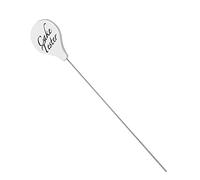 QUINTRA Cake Tester Stainless Steel Cake Skewer Kitchen Cake Tester Probe Pin Needle Reusable Long Metal Baking Pick Tool Children's Bar Cake (White, One Size)
