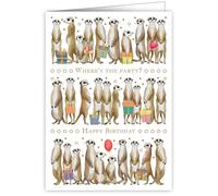 Quire Collections Happy Birthday Meerkats, 3344, Multicoloured, 115 x 163mm