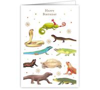 Quire Collections Mac Card Happy Birthday Reptiles, 3597, Multicoloured, 115 x 163mm