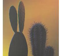 Quitapenas - Mas Tropical/Que Te Pasa [VINYL]