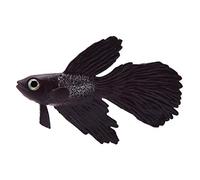 Qukaim Fish Tank Ornament Aquarium Decoration Funny Artificial Silicone Small Fish, Fish Tank Ornament, Realistic Fake Fish for Aquariums, Brown Betta Fish, 10 x 5 cm