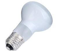Qukaim Reptile Light Reptile Heat Emitter Basking Lighting Lamp, 100W White Daylight Bulb, UVA Light for Reptiles and Poultry, Energy Efficient Heat Source