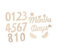 QUMIIRITY 1set Monthly Cards Wooden Photo Props for Newborns for Showers Birthdays Reusable Signs for Capturing Special Moments