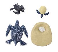 QUMIIRITY 1Set Turtle Growth Cycle Models Educational Realistic Animal Evolution Figurines for Early Learning Enhancing Imagination and Knowledge of Nature
