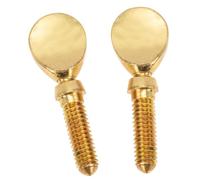 QUMIIRITY 2Pcs Flute Head Screws Gold Flute Accessories Replacement Parts for Repair Suitable for Players Musical Instrument Components