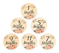QUMIIRITY 6 pcs Double Sided Floral Monthly Milestone Discs Wooden Signs for Photo Props and Room Decor for Expecting Moms