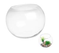 QUMIIRITY Clear Glass Fish Bowl Small Aquarium for Goldfish and Tortoises for Office and Home Decor Compact Desktop Design for Plants and Decorative Marbles
