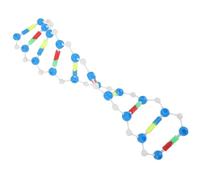 QUMIIRITY Dna Model Components Double Helix Structure Educational Science Kit for Biology Teaching Interactive Learning Tool for Students Enhancing Observation and Analytical Skills