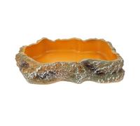 QUMIIRITY Reptile Food Bowl and Water Dish for Tortoise Lizard Gecko Terrarium Feeding Basin, Medium Size Pet Feeding Bowl Suitable for Snake Tank Accessories and Amphibian Habitats