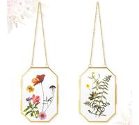 Qunclay 2 Pcs Double Glass Frame for Pressed Flower Frames Floating Wall Hanging Metal Chain for Display Dried Plant Specimen Picture Pretty Gifts for Mom Friends DIY Handy Craft(Gold,3.5 x 2.5 Inch)