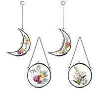 Qunclay 4 Pcs Christmas Pressed Flower Frames Bulk Double Glass Floating Hanging Photo Frame Sun Moon Clear Pressed Flower Decor with Chain for DIY Crafts Artwork Display Gallery(Black,3.5 x 2.5 Inch)