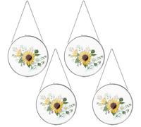 Qunclay 4 Pcs Double Glass Frame for Pressed Flowers Round Hanging Herbarium Floating Flower Press Frame Clear DIY Vintage Artwork Display holder(4 Inch,Black)