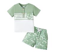 QUNERY Toddler Baby Boy Clothes Short Sleeve Dinosaur Stripe Tops Bear Print Shorts Set Baby Boy Summer Outfits Light green 3-4 years