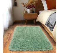 Quntue Small Area Rug, 2x3 Shaggy Throw for Bedroom & Dorm, Soft Plush Comfy Mint Green