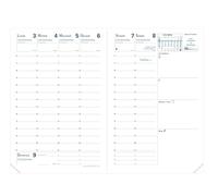 Quo Vadis 004457Q BUSINESS Agenda Italian Language Year 2022 Format 10x15 cm Weekly 13 Months December-December White Paper Gold Cut Replacement Diary Blister Cover White Cardboard Cover