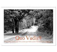 Quo Vadis? Forests and trails in the Röhn, Lüneburg Heath and Mecklenburg Lake District UK-Version (Wall Calendar 2026 DIN A3 Landscape), CALVENDO 12 Month Wall Calendar