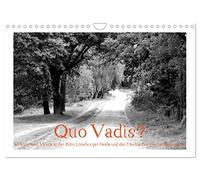 Quo Vadis? Forests and trails in the Röhn, Lüneburg Heath and Mecklenburg Lake District UK-Version (Wall Calendar 2026 DIN A4 Landscape), CALVENDO 12 Month Wall Calendar