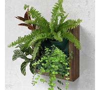QUOAOT Vertical Wall Planter, 4 Pots Self Watering Living Planters Indoor, Wooden Frame Planter Wall Decoration Home Office (No Screw)