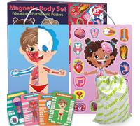 Quokka Magnetic Puzzles for Kids Ages 3-5 in a Bag - Montessori Toddlers Puzzles Ages 2-4 - Game to Learn Human Body Anatomy Circulatory System, Muscular System - Educational Toys for Boy & Girl