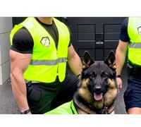 Quote to hire security guard with risk assessment