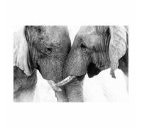 QUSAAOU Canvas Art Colorful Elephant Pair Touching Trunks Print Abstract Art Pieces Suitable For Home Decoration In Living Rooms Bedrooms Hallways Bathrooms Offices(Blackwhite)-70x100cm1 Unframed