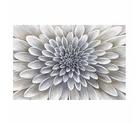 QUSAAOU Canvas Home Decor Wall art Abstract Flowers Quality Picture- minimal - Living & Bedroom Home DÃcor with Easy Hang Guide(Gray)-60x90cm Unframed