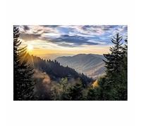 QUSAAOU Canvas Home Decor Wall art Purple Flowers Prints Plant Decor Living Room Bedroom Poster Pictures for kitchen Walls Home Decor Accessories,(Beige)-30x45cm Unframed