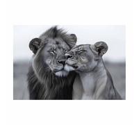 QUSAAOU Modern Home Decor Painting Lion Couple Embracing Modern Style Suitable For Living Room And Dining Room Home DéCor And Gifts.(Grey)-30x45cm1 Unframed