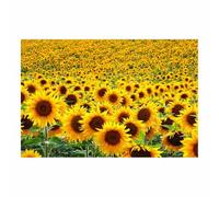 QUSAAOU Wall art for bedroom Flowers Colorful Abstract Canvas Prints Minimalist Artwork for Bedroom Office Home Decoration(Yellow)-40x60cm Unframed