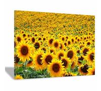 QUSAAOU Wall art for bedroom Flowers Colorful Abstract Canvas Prints Minimalist Artwork for Bedroom Office Home Decoration(Yellow)-40x60cm Framed