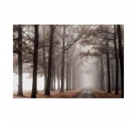 QUSAAOU Wall decoration for living room Abstract Flowers Modern Scenic Living Room Bedroom Piece Home Decor Interior Easy Hang(Blue)-30x45cm Unframed