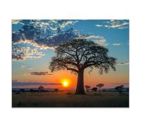 QUSAAOU Wall Decoration For Living Room Baobab Tree at Sunset on African Savanna Modern Scenic Living Room Bedroom Piece Home Decor Interior Easy Hang(Orange)-60x90cm1 Unframed