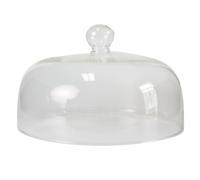 Qusedwey High Borosilicate Glass Microwave Splatter Cover(10 Inch) Non- Plastic-Free for Food Lids