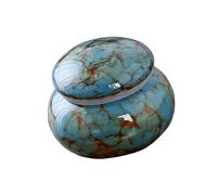 Qusinfc Artistic Ceramic Urn Ashes Holder for Pet Ashes Human Cremation Elegant and Heartfelting Home Shelf Display Pet Memorial Cremation Box
