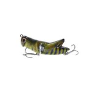 Qusinfc Predators Specific Fishing Lures with 3D Eye and Realistic Artificial Crickets Baits with Hook for Big Strikes Minnows Hard Baits