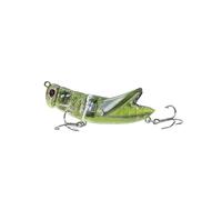 Qusinfc Predators Specific Fishing Lures with 3D Eye and Realistic Artificial Crickets Baits with Hook for Big Strikes Minnows Hard Baits