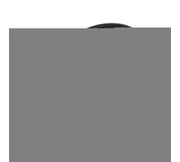 Qutalmi Internal recording head for mobile phones, sound recording head with charging adapter for smartphones, noise reduction for travel and films