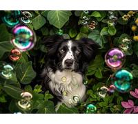 Quxaoqiao Adults and Beginners 5D Diamond Painting DIY Full Drill Kits Border Collie Pictures Embroidery Cross Stitch Diamond Art Perfect for Gift and Home Wall Decor Round Drill 55x75cm AE1064
