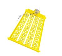 QUXVUIS Automatic Household Bird Poultry Egg Incubator Tray for Small Eggs