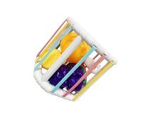 QUXVUIS Baby Shape Sorter Toy Multicolor Fruits Sensory Bin Early Development Activity Storage Cube Bin Fun Learning Tool Kids Color Sorting Sensory Toys Gifts