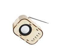 QUXVUIS Educational Toy Kits Science DIY Radio Model Practical Wooden Building Projects For Creative Kids Retaining Original Sound Diy Wooden Science Experiment Model Learning Toys