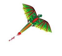 QUXVUIS Eye-catching 3D Colorful Dragon Single Line Kites with Long Tails Beginner Outdoor Games