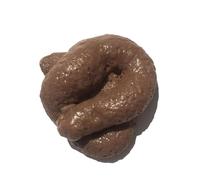 QUXVUIS Funny Elastic Fake Poo Prank Toy For Hilarious Jokes PU Elastic Toys Prank Toys With High Simulation And Funny , Regular color