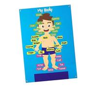 QUXVUIS Gift Kids Exciting Learning Opportunities With Body Parts Learning Story Board Set Interactive Play And Education Preschool Human Educational Teaching Storytelling