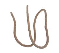 QUXVUIS Jungle Climbing Vines For Snake And Chameleon Creating Natural Habitat Enhancements Inside Reptile Terrariums Reptile Terrarium Decor Plants Hanging Vines , Style A