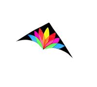 QUXVUIS Large Delta Kite Outdoor Sports Kite Fun Relaxing Days At Beach Beautiful For Adults Excellent Workmanship Of 78.74 X 35.43inch Large Hug Delta Giant